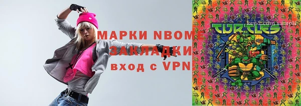 гашик Алексин