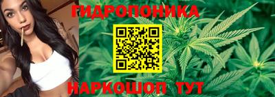 сатива Беслан