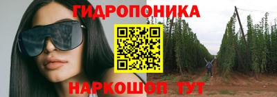 дурь Берёзовский