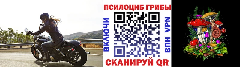 Псилоцибиновые грибы Psilocybe Воткинск