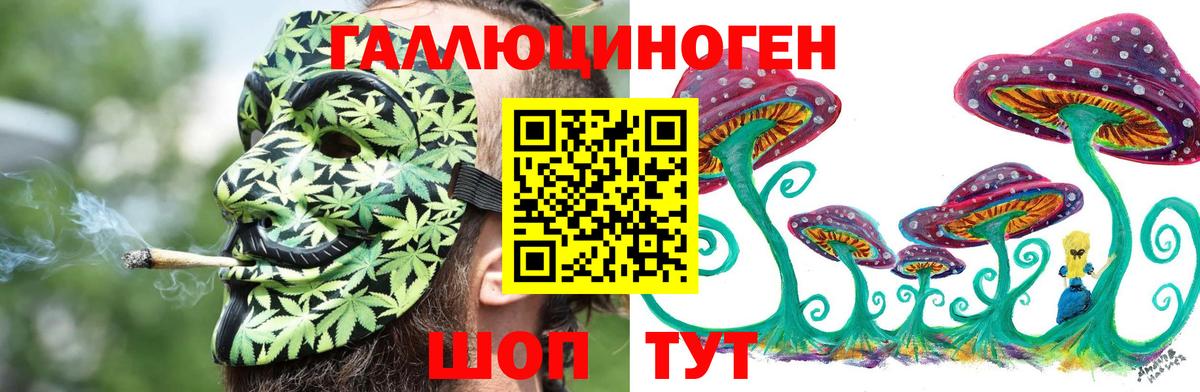 Псилоцибиновые грибы Psilocybine cubensis Воткинск